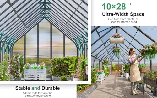 cdcasa 28x10x10 ft polycarbonate greenhouse for outdoors w/6, side view