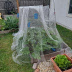 gonlei garden netting 2pack 10x30ftplants garden mesh berry on a desk or shelf
