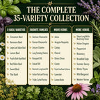 gardeners basics 35 medicinal herb seeds variety pack, close-up detail
