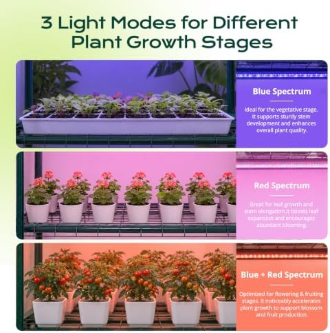 docred indoor greenhouse with grow light, 4-tier mini, close-up detail