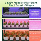 docred indoor greenhouse with grow light, 4-tier mini, close-up detail