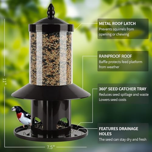 squirrel-proof bird feeder for outdoor hanging wild bird on a desk or shelf
