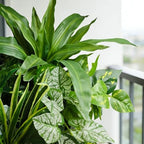 artificial plants for outdoors faux greenery leaves uv, close-up detail