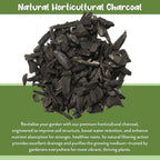 soil sunrise horticultural charcoal for indoor plants (12 showing dimensions
