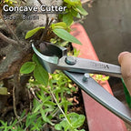 vouiu 6-piece bonsai tool set,concave cutter,knob cutter,jin pliers,wire shown in use