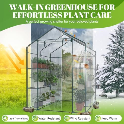 sweetcrispy 56"x56"x77" outdoor greenhouse, with 2 tier 8, side view