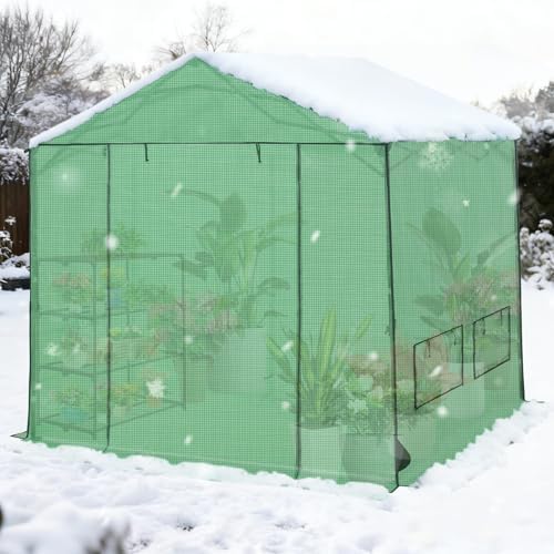 coos bay 8x8 pop up greenhouse outdoor, walk, front angle view