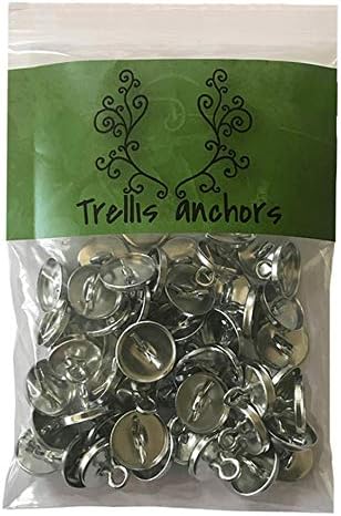 100-Piece Anchors for Trellis, Vine, Wall Climbing Plants, Lighting Strip