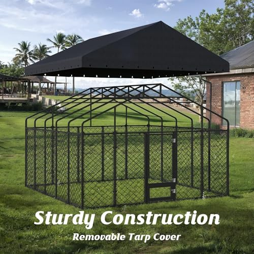 10x14ft outdoor dog kennel with roof and feeding, front angle view