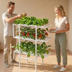 vevor hydroponics growing system kit, 3-tier 108 sites, front angle view