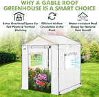 eagle peak 6x6 pop up walk in greenhouse shown in use