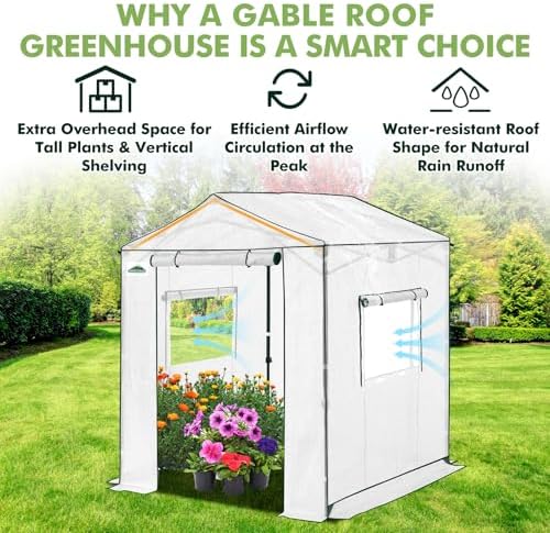 eagle peak 6x6 pop up walk in greenhouse shown in use