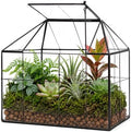 large glass terrarium house planter – succulent plant, main product view
