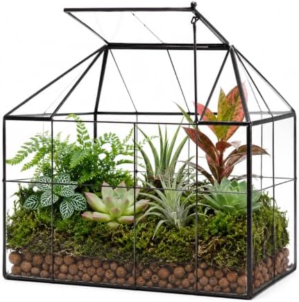 large glass terrarium house planter – succulent plant, main product view