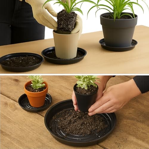20 packs 20 inches extra-large black plant saucers on a desk or shelf