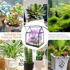 rifny plant terrarium with grow light, glass terrarium on a desk or shelf