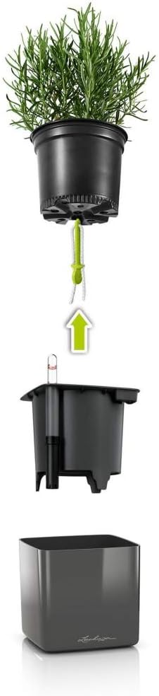 Lechuza Green Wall Home Kit Glossy Cream White High Gloss, 3 Self-Watering Hanging Planters on Metal Bar, H5.5 L18.9 W5.9 in