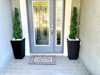 all season green 4' spiral boxwood topiary trees, front angle view