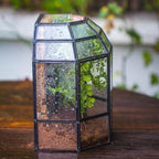 ncyp half dome geometric glass terrarium with door, close-up detail