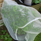 fruit tree protection bags 4.5x6 ft | pack, front angle view