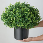 2 sets artificial boxwood topiary ball trees for, package contents