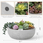 mygift 8 inch round artificial succulent plants in showing dimensions