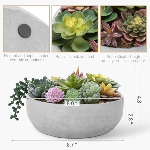 mygift 8 inch round artificial succulent plants in showing dimensions