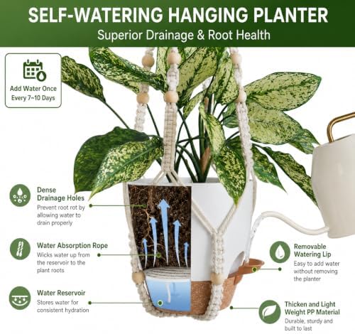 self watering hanging planters for indoor plants large showing dimensions