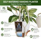 self watering hanging planters for indoor plants large showing dimensions