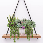 assorted artificial succulents fake plants in rectangular wooden, view 9