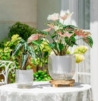 melphoe self watering hanging planters indoor flower pots, view 9