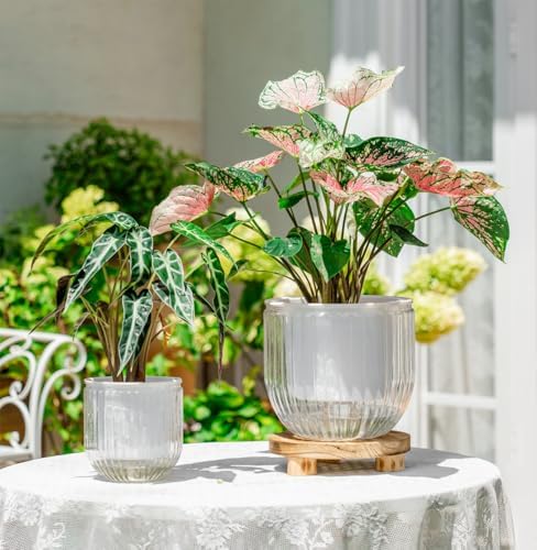 melphoe self watering hanging planters indoor flower pots, view 9