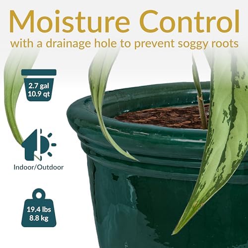 sunnydaze studio 15" round ceramic planter, dark green shown in use