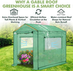 eagle peak 8x6 pop up walk in greenhouse, side view