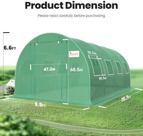 king bird premium 20x10x6.6ft greenhouse for outdoors large shown in use