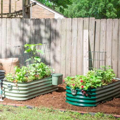vego garden tomato cage 16.5" square heavy-duty for, front angle view