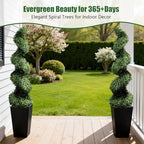 mavis's diary 5ft artificial spiral topiary trees, set showing dimensions