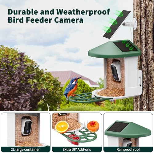 harymor smart bird feeder with camera - ai, close-up detail