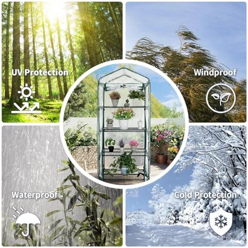 mini greenhouse for indoor outdoor, small plants green, close-up detail