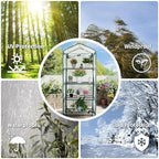 mini greenhouse for indoor outdoor, small plants green, close-up detail