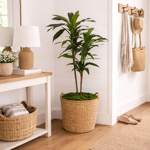 nearly natural 48 in artificial dracaena real touch, view 11