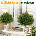 24.5 inch set of 2 topiary cedar trees showing dimensions