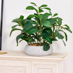 k&y realistic artificial potted plants olive wild fern showing dimensions