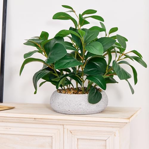 k&y realistic artificial potted plants olive wild fern showing dimensions