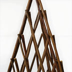 expandable teepee willow fence, teepee trellis pyramid plant on a desk or shelf