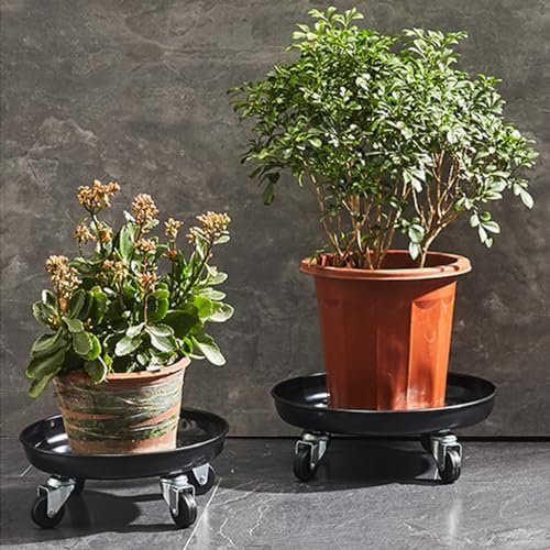 12" heavy duty plant dolly with wheels, 200lbs showing dimensions