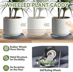 plant caddy with hidden wheels 13.5 inch heavy, close-up detail
