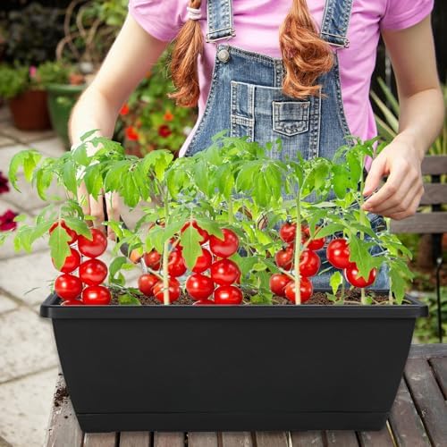 17inches rectangle planter box with drainage holes and, close-up detail