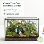 glass plant terrarium with lid, rectangular black metal shown in use