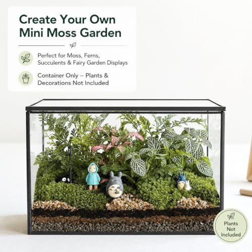 glass plant terrarium with lid, rectangular black metal shown in use